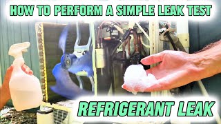 How to Perform a Mini-Split Refrigerant Leak Test with Soapy Water