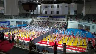 20160715 - Taekwondo Dance