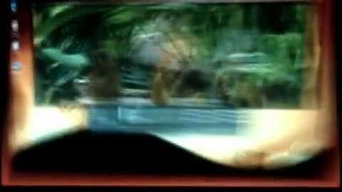 Compiz Fusion Development