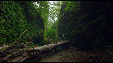 Värv - Intro to IXD, EKA