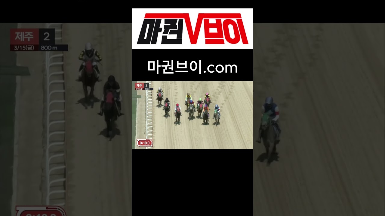 2024년 03월 15 제주경마 2경주 #한국경마#부경#과천경마# 경마# 제주경마#부산경마#마권브이 #과천경마 #부산경마 #한국경마