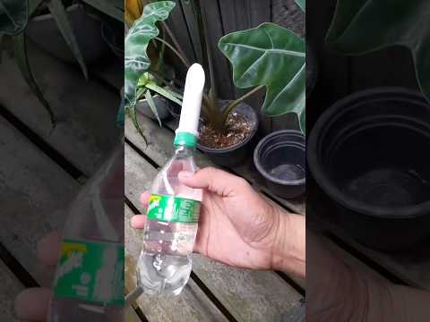 Video: Membuat Alat Untuk Berkebun: Cara Membuat Alat Taman Buatan Sendiri