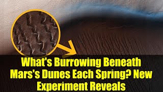 What's Burrowing Beneath Mars's Dunes Each Spring? New Experiment Reveals