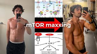 Information How to maximize mTOR for faster muscle growth Update