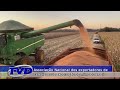 Associação Nacional de exportadores de cereais reduz exportação de milho do Brasil em setembro.