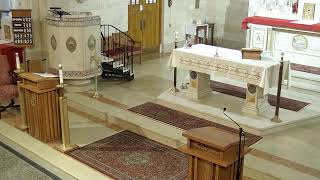 14th Sunday in Ordinary Time, 8:30am