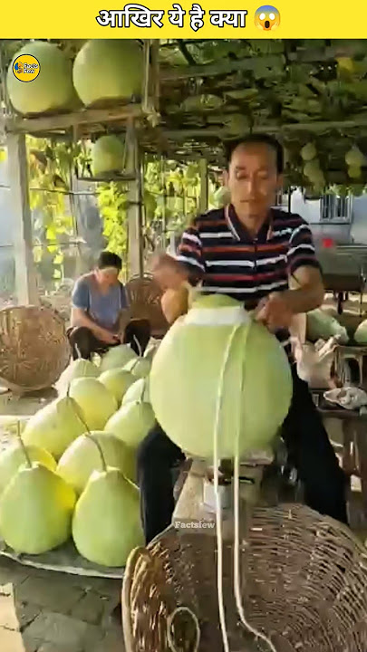 healthy cooking #facts #ytshorts #viral