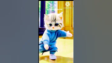 Ai Cat Fani Dhance Video YouTube Short Video 