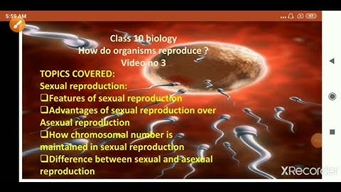 Class 10 biology How do organisms reproduce? ( Video no. 3) features of sexual reproduction
