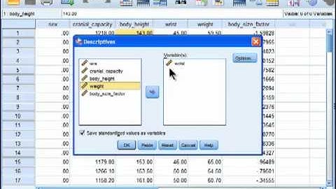 Create z-scores - SPSS