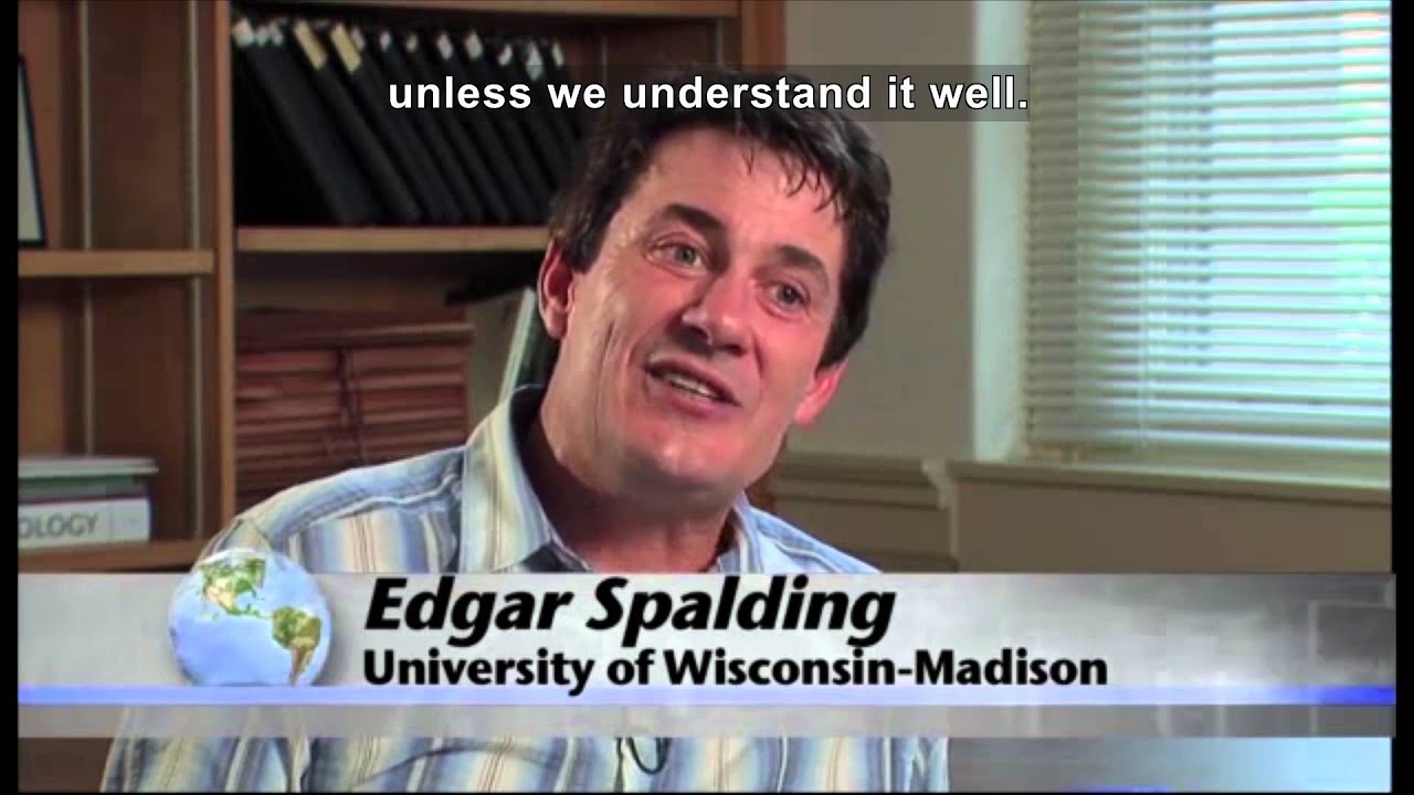 Developing Hardier, WeatherResistant Crops (Accessible Preview) YouTube