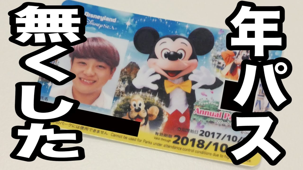 ディズニー 年パスを買うか迷う 元はとれる 元年パス持ちの感想