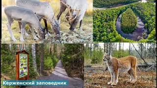 Olga Kvasova – СЛУЖЕНИЕ ОНЛАЙН – Апостольско - пророческое служение от 13.03.2025г.
