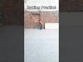 Batting practice in home cricket #Shorts