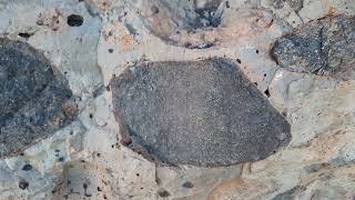 *PYROXENITE NODULES* in DYKE in ANAGA, TENERIFE January 2022