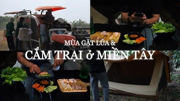 Vlog Cắm Trại & Mùa Gặt Lúa và Bắt Chuột Đồng ở Miền Tây