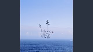 Wander Into