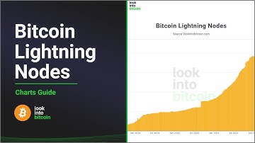 Bitcoin Lightning Network Nodes