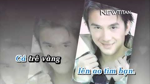 karaoke Chuyện Con Cá Trên Đồng - Đan Trường