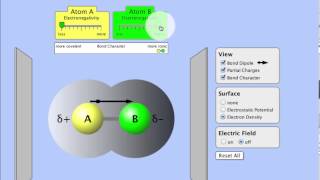 Molecule Polarity