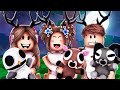 We Started Our Own DEER FAMILY..(Brookhaven)