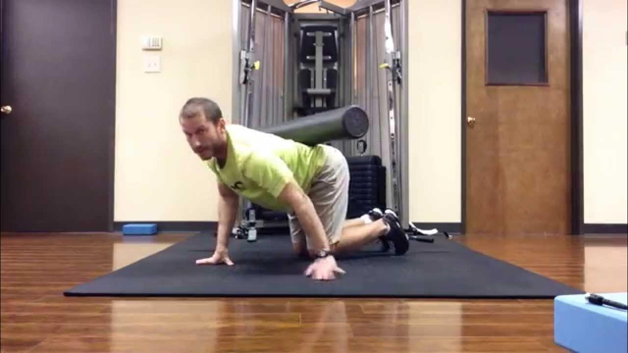 Bird Dog Exercise YouTube