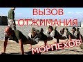 ВЫЗОВ СУПЕР ОТЖИМАНИЯ МОРСКИХ КОТИКОВ! НЕВОЗМОЖНЫЕ ОТЖИМАНИЯ НА КАЖДЫЙ ДЕНЬ!