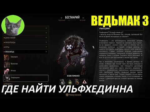 Ведьмак 3 - Интересности - Где найти Ульфхединна