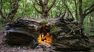I Found a Giant Hollow Log and Turned it Into My Dream Bushcraft Shelter