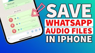 How to Save Audio Files from WhatsApp in iPhone I Save WhatsApp Audio in iPhone screenshot 3