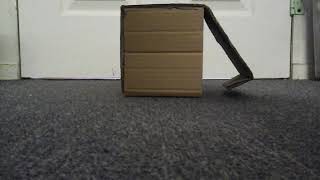 The Box Attack! Part 1