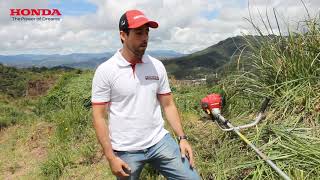 Atributos Guadañadora 4 tiempos HONDA UMK450 - YouTube