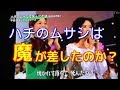 「ハチのムサシ」は魔が差したのか?