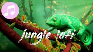 relaxing lofi music & jungle sounds 🎵 beats to relax/study to