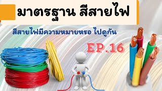 สีสายไฟ มีความหมายด้วยหรอ แล้วบ้านเราใช้สายไ้ฟสีอะไร คลิปนี้มีคำตอบ EP.16