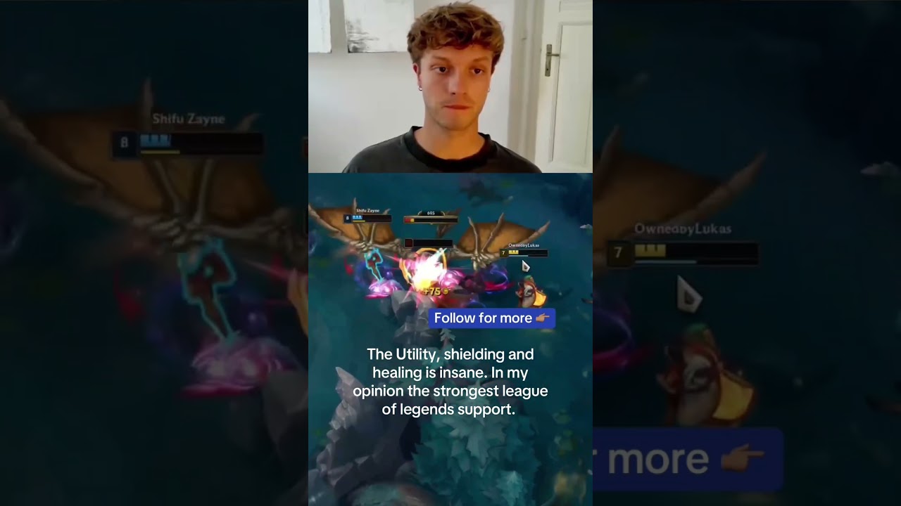 The best league of legends Support? What do you think? 