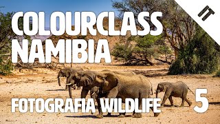 Colourclass Namibia: Quinta puntata - Trucchi e consigli per la fotografia wildlife screenshot 1