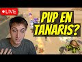 🔴 TURTLE WOW - EN VIVO | ¡HOY SÍ LLEGAMOS A TANARIS! Levear, farmear... ¿morir? ⚔️
