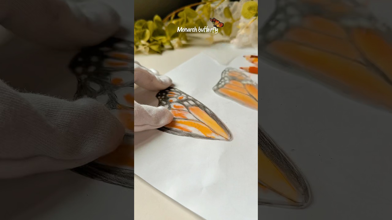 A monarch butterfly hair clip❤️🌱 