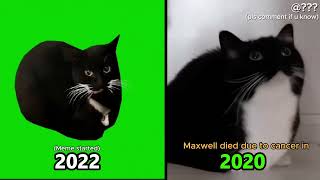Famous 10 Famous Cat Memes We've LOST😢💔  Net Worth