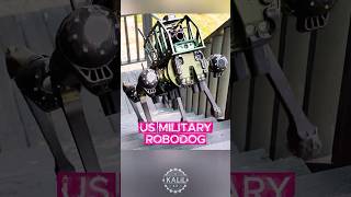 US Army Testing Weaponized Robot Dogs #robotics #military #robot