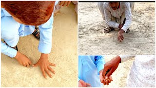 Legends playing marble game #kancha #marbles #viral #goli #marblegame #village #childhoodmemories screenshot 5
