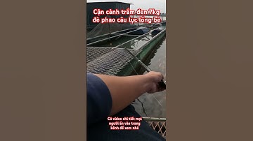 Pha đè phao đẹp - Câu lục sông cạnh lồng bè