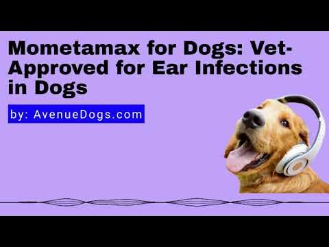 gabapentin for dogs ear infection