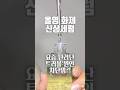 요즘 난리난 올영 신상 트러블 세럼 진짜 좋을까? 올영추천템 #shorts