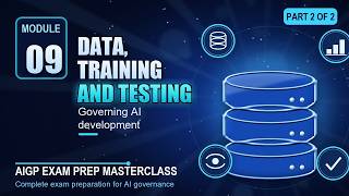 AIGP Exam Prep Module 9 Part 2 of 2: Testing, issues, documentation, recap and practice
