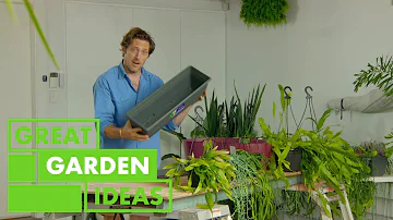 How to Create an Affordable Green Wall | GARDEN | Great Home Ideas