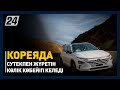 Кореяда сутекпен жүретін көлік көбейіп келеді