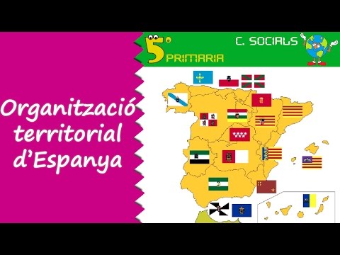 Vídeo: Qui és important l'organització?