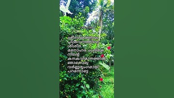 Sreenagarathile l G Devarajan | Vayalar Ramavarma | P Jayachandran | #shortvideo